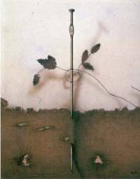 Matèria morta (Materia muerta) (Serie Aguja). 1971. Carboncillo y óleo sobre tela. 50 x 60 cm