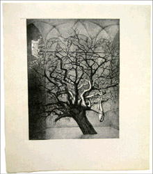 Deu imatges sobre les germanies